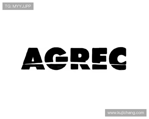 AG国际网址官方地址正式公布，提供多渠道安全访问保障玩家资金安全