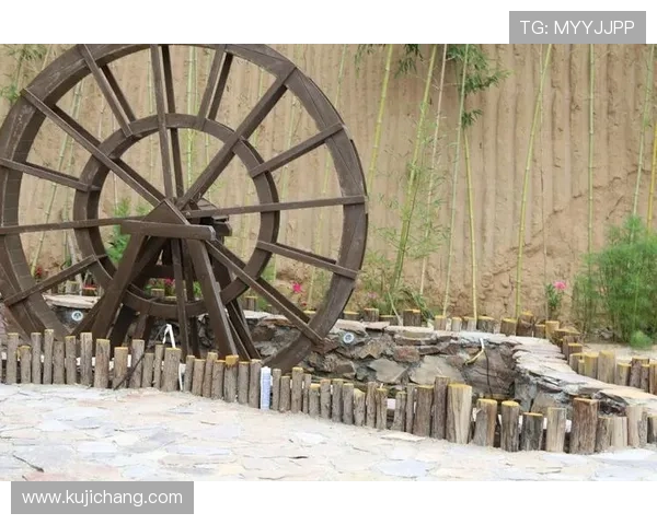 万利真人最新优惠活动汇总获取丰富奖励提升游戏乐趣体验